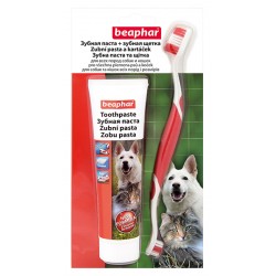 Beaphar Tooth Brush+Paste Combipack