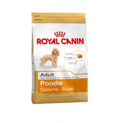 Royal Canin Poodle Adult