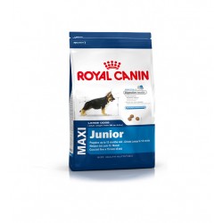 Royal Canin Maxi Junior
