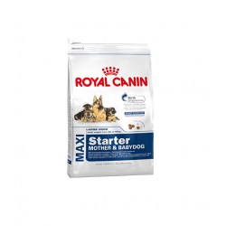 Royal Canin Maxi Starter