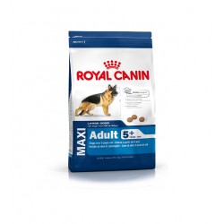 Royal Canin Maxi Adult 5+
