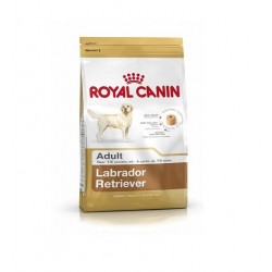 Royal Canin Labrador Retriever Adult