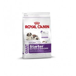 Royal Canin Giant Starter