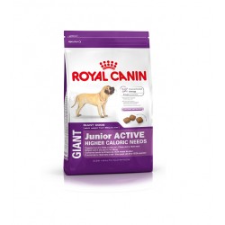 Royal Canin Giant Junior Active