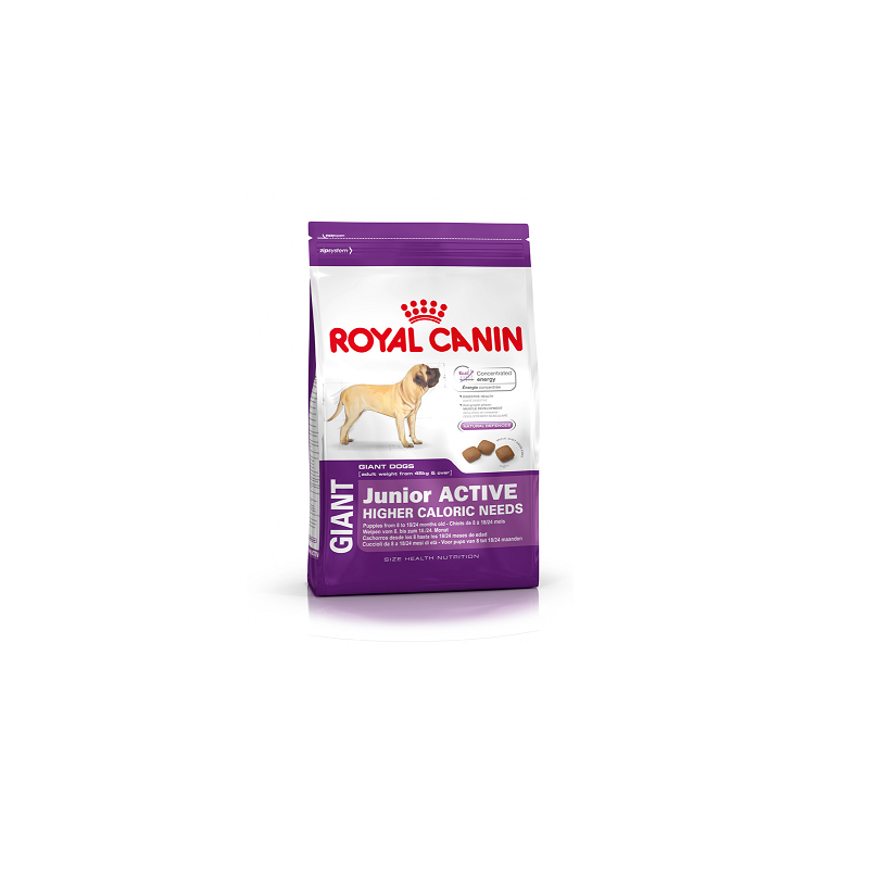 Royal Canin Giant Junior Active