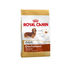 Royal Canin Dachshund Adult