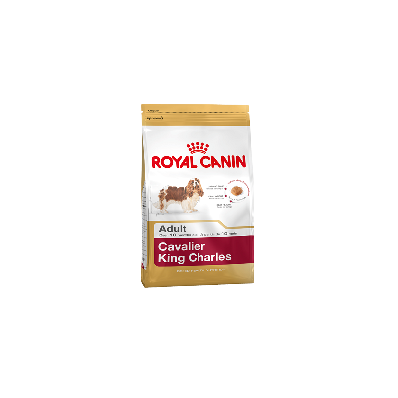 Royal Canin Cavaler King Charles Adult
