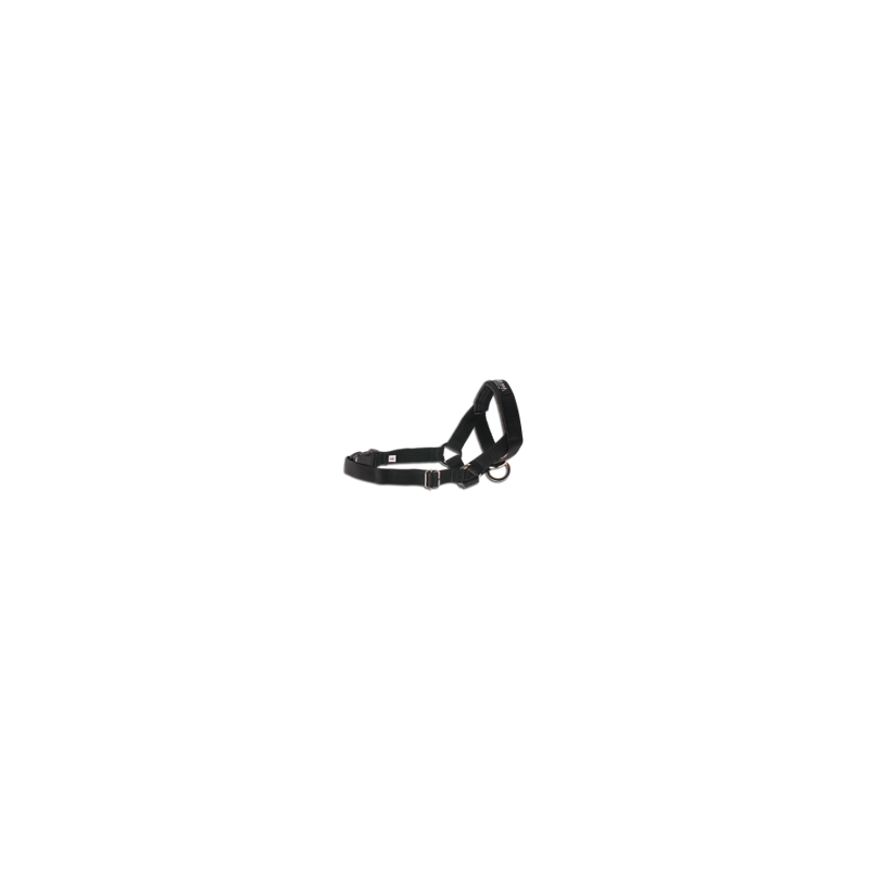 Недоуздок AmiPlay N3 Cocker Spaniel (Черный)