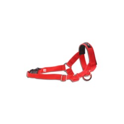 Недоуздок AmiPlay N3 Cocker Spaniel (Красный)