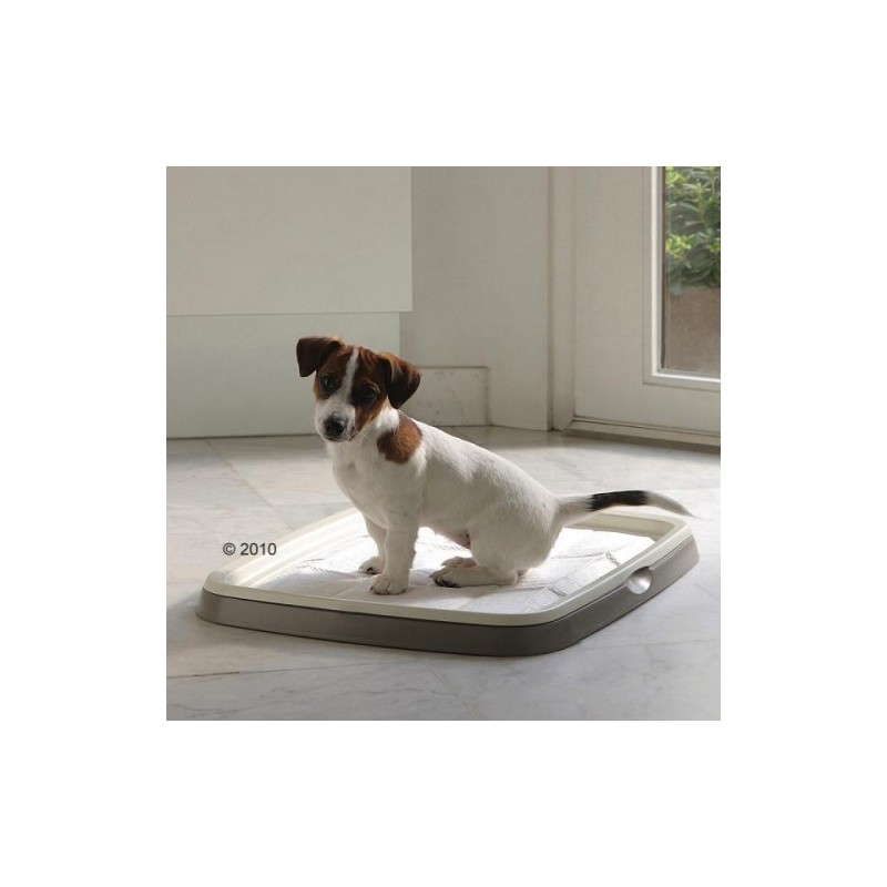 Набор "SAVIC" для приучивания собак к месту