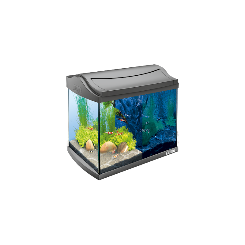 Аквариум Tetra AquaArt LED Aquarium, 20 л