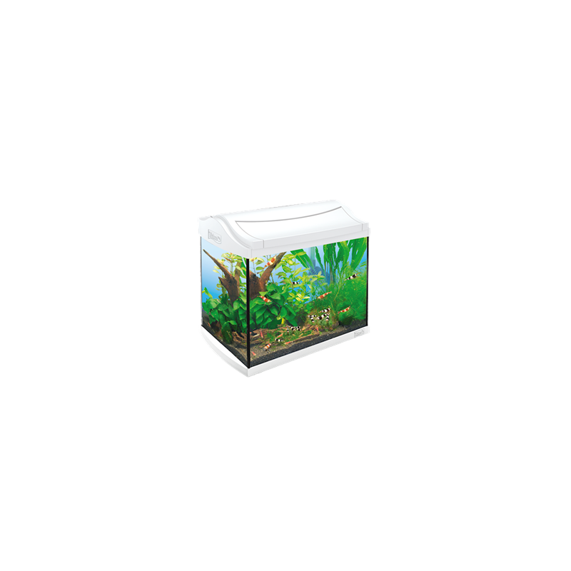Tetra AquaArt Aquarium Complete Set Discover Line