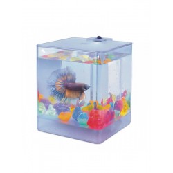 AA-Aquariums 1212 Aqua Box Betta