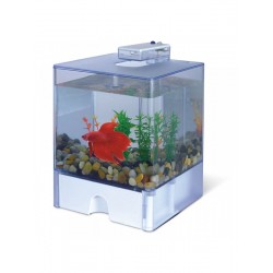 AA-Aquariums 1515 Aqua Box Betta