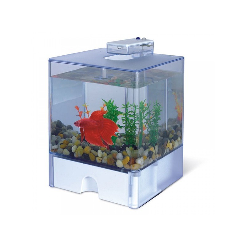 AA-Aquariums 1515 Aqua Box Betta