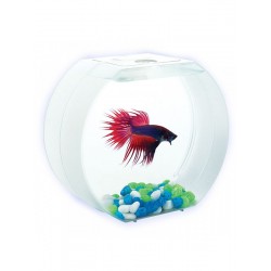 AA-Aquariums Betta О для мальчиков